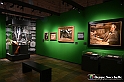 VBS_7386 - Mostra Margherita di Savoia Regina d'Italia